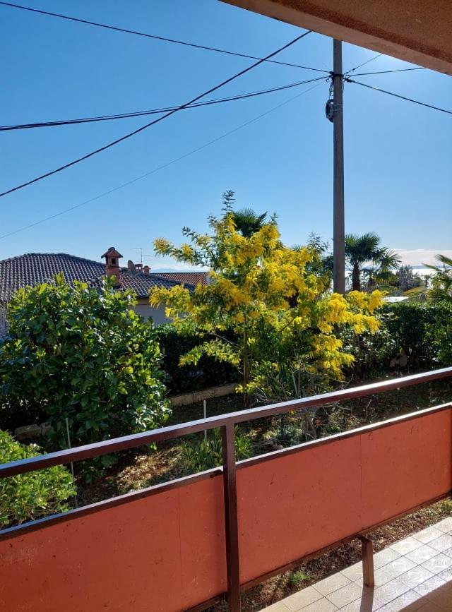 Apartament Rubin Ika Zewnętrze zdjęcie